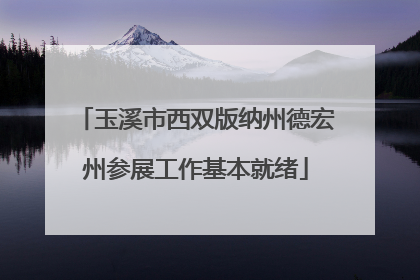 玉溪市西双版纳州德宏州参展工作基本就绪